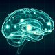 Neuropsicologia