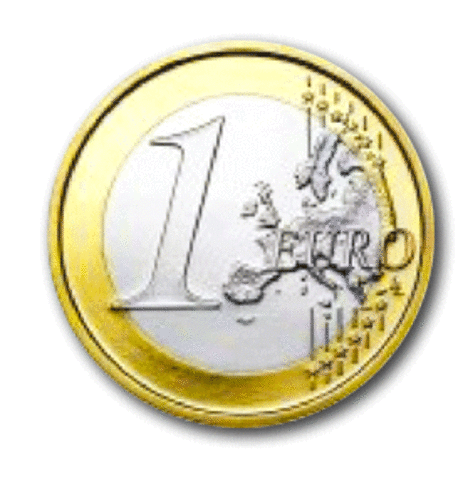 Se adopta el Euro como moneda oficial.