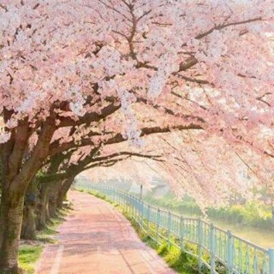 Timeline: Mi biografía como hija