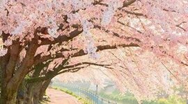 Timeline: Mi biografía como hija