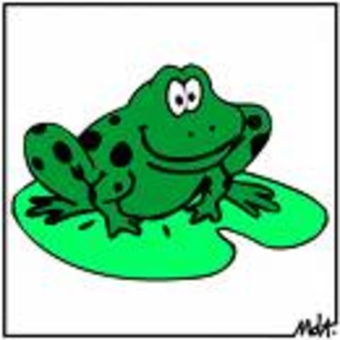 FRogs were born
