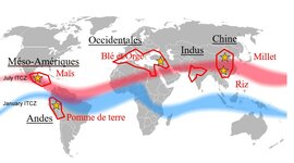 Timeline: First Civilizations AP World Timeline