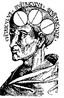 Albertus Magnus