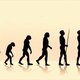 Evolucion