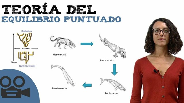 Teoría del equilibrio puntual