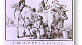 Timeline: Hechos históricos que contribuyeron al desarrollo de la Inmunología