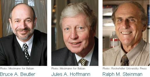 Jules Hoffman, Bruce Beutler y Ralph Steinman