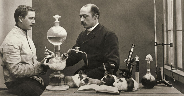 Mecanismo de inmunidad