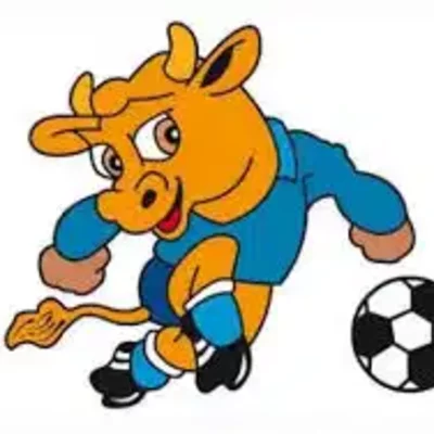 Timeline: COPA AMERICA DESDE 1995