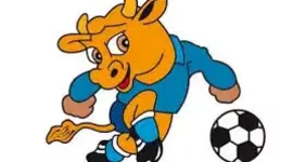 Timeline: COPA AMERICA DESDE 1995