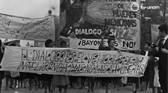 Los Derechos y políticas de inclusión en el siglo XX en México