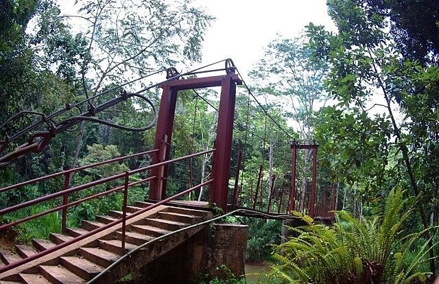 Primer momento: Principios esteticos