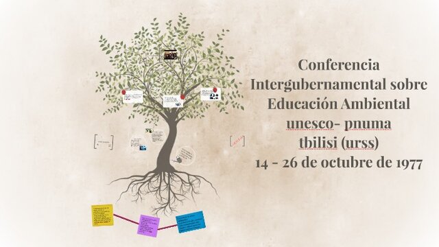 Tbilisi - Conferencia Intergubernamental sobre Educación Ambiental.