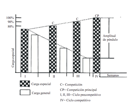 Aroseiev y Kalinin (1956)
