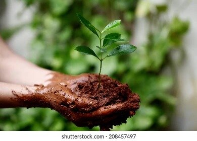 Tercer momento: La ética