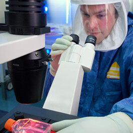 Al menos 115 vacunas están siendo estudiadas en el mundo