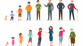 Timeline: Generaciones