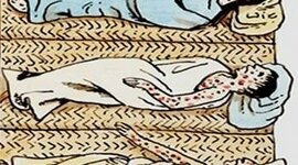 Timeline: Perspectiva histórica de la inmunología por Carla María Aragón Contreras (200-18-10367) y Fabiola Jeanneth Orellana Vásquez (200-19-2233)