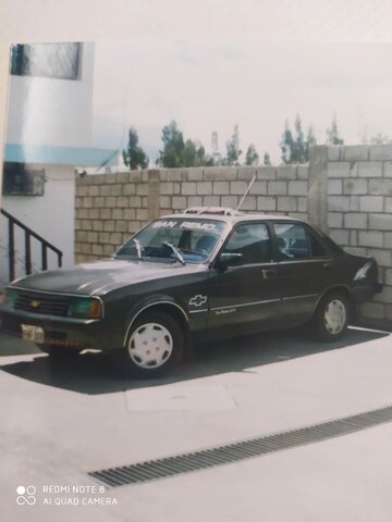 Mi primer carro