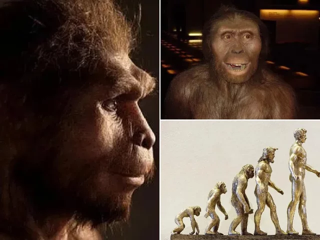 Aparición del Homo Sapiens