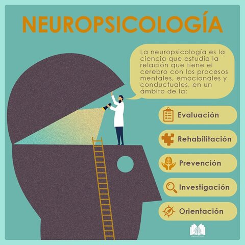 Neurociencias
