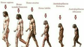 Timeline: El origen de la humanidad