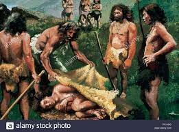 El Homo sapiens sapiens