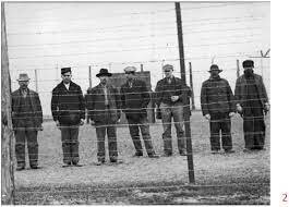 Enemy Aliens and the Homefront