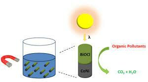 En el cuidado ambiental