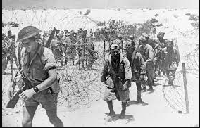 Second Battle of El Alamein