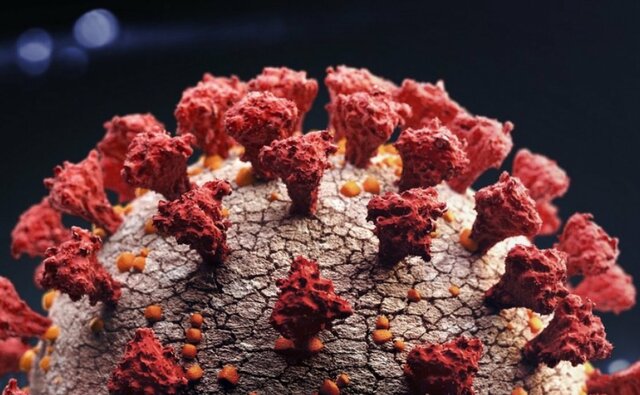 Se identifica el coronavirus