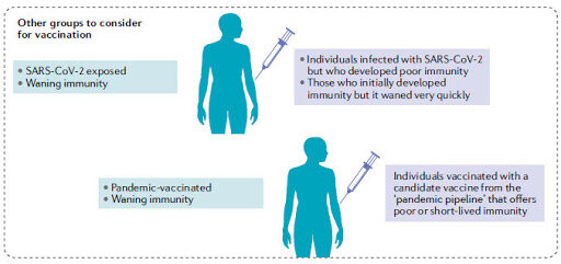 Al menos 115 vacunas están siendo estudiadas en el mundo
