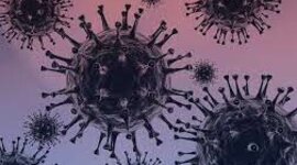 Timeline: linea de tiempo de la vacuna contra el covid