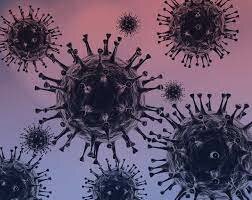 2019 - 31 de diciembre: Se identifica el coronavirus