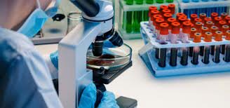 Los científicos revelan el genoma del nuevo coronavirus