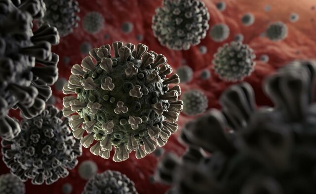 Los científicos revelan el genoma del nuevo coronavirus
