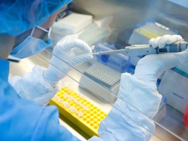 "Ensayos para probar la vacuna de la tuberculosis contra el COVID-19 en curso"