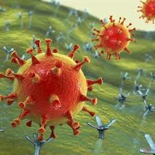 22 de mayo: La vacuna de la Universidad de Oxford/AstraZeneca entra en la fase dos de su ensayo