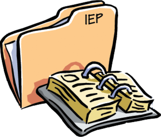The Individualized Education Program (IEP)