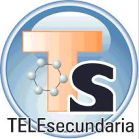 Surgen las Telesecundaria