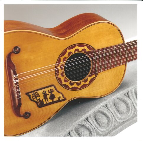Guitarra "seis ordenes"
