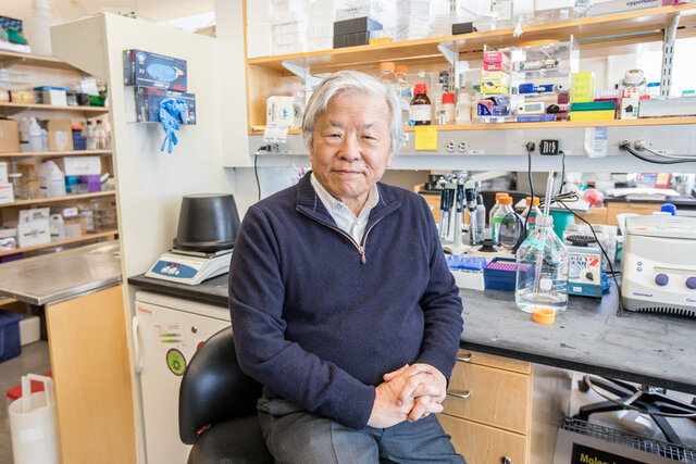 Susumu Tonegawa (1987 )