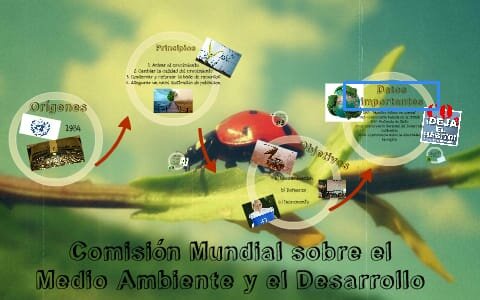 Comisión mundial sobre medio ambiente