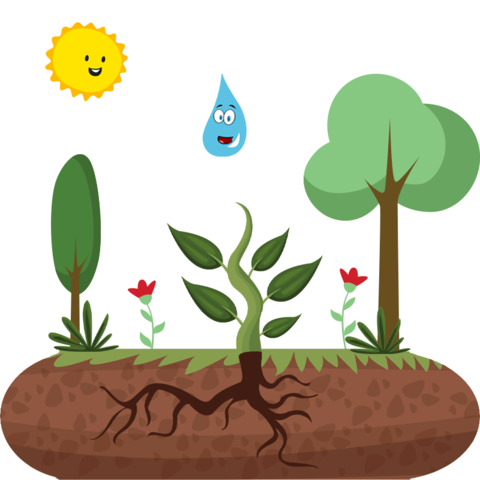 MIS CLASES FAVORITAS DE PRIMARIA