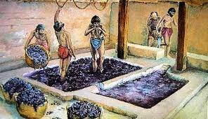 Los primeros cultivos en Mesopotamia