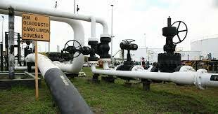 Descubre Campo Caño Limón