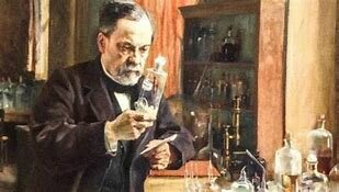 Primer vacuna antirrábica