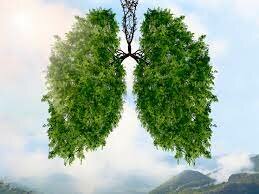 Prevenir enfermedades