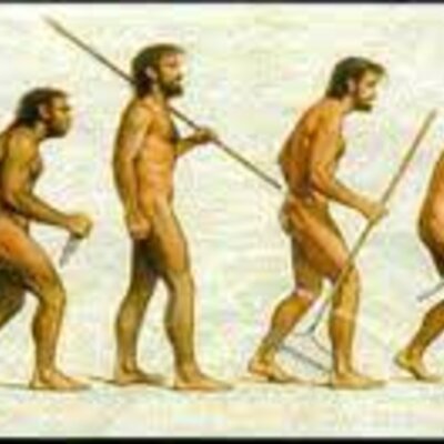 Timeline: HISTORIA DE LA ERGONOMIA