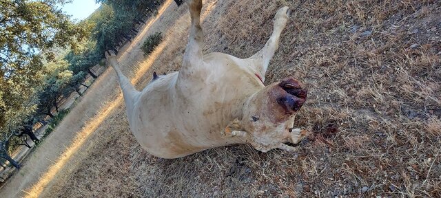 Pequeña aldea de Pouilly-le-Fort